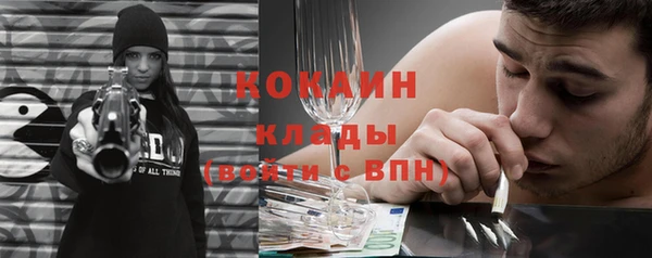 твердый Анива