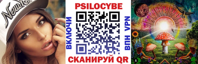 Галлюциногенные грибы Psilocybe  Ижевск 