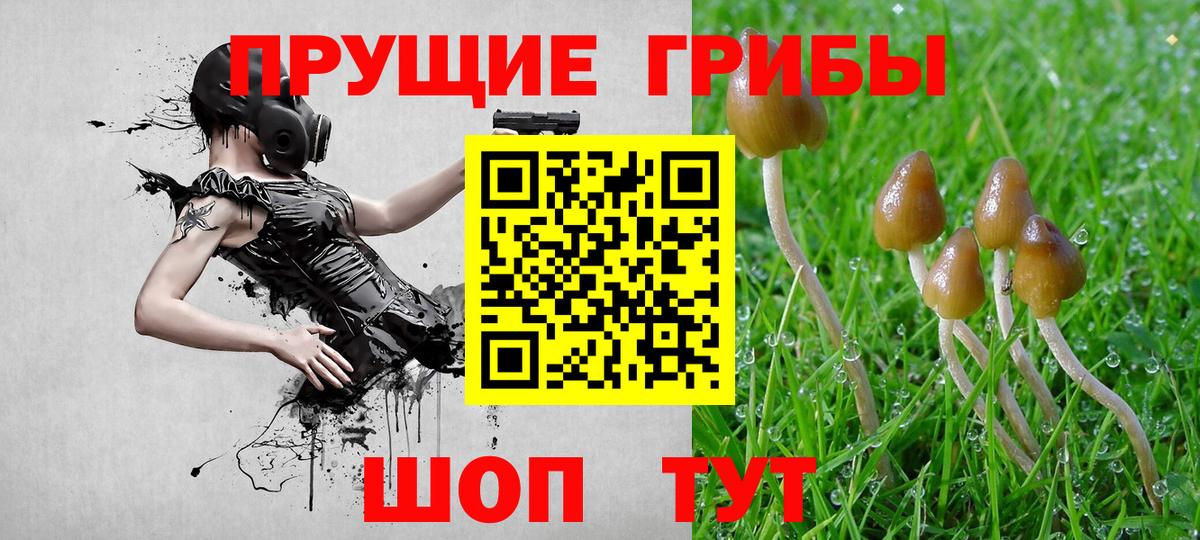Ижевск  Псилоцибиновые грибы мицелий  Вход с VPN 