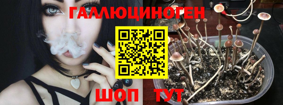 Галлюциногенные грибы мухоморы Ижевск