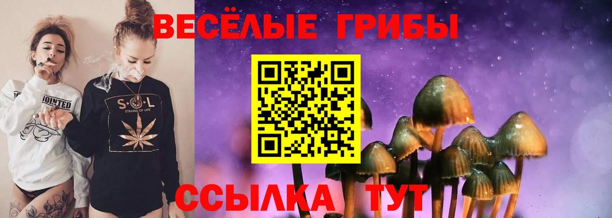Псилоцибиновые грибы Magic Shrooms Ижевск